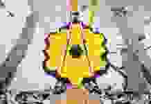 2021 год удивит невероятными событиями, – учёные