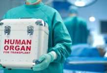 Украина станет трансплантационно независимой через 3 года