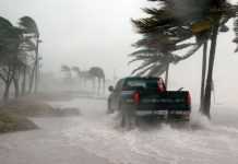 2020-й стал годом экстремальных природных катаклизмов, – учёные