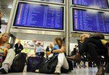 Перед полётом в Нидерланды надо обязательно пройти ПЦР-тест