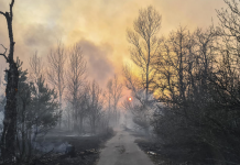 Лесные пожары влияют на радиационное загрязнение зоны ЧАЭС