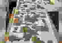 В Египте нашли 4-метровый свиток «Книги мёртвых»