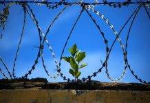 В тюрьмах Украины всё изменится к лучшему, – Высоцкая