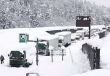 В Японии из-за снегопадов пострадали уже почти 80 человек