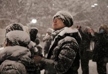 В Японии из-за снегопадов отменили свыше двухсот авиарейсов