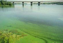 В Днепре выявили большое количество загрязнителей, – Минэкологии