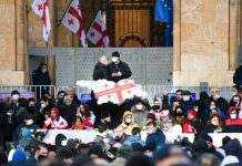 В Тбилиси проходят митинги в защиту Никанора Мелии