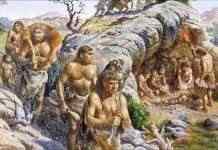 Исчезновение магнитного поля убило неандертальцев, – учёные