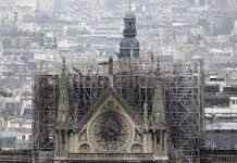 На реставрацию шпиля Нотр-Дама пойдёт около тысячи вековых дубов