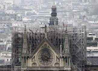 На реставрацию шпиля Нотр-Дама пойдёт около тысячи вековых дубов