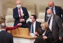 Правительство Грузии озвучило планы по членству в ЕС