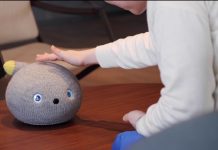 В мире появились робот-кот, робот-черепаха и сборщик яблок