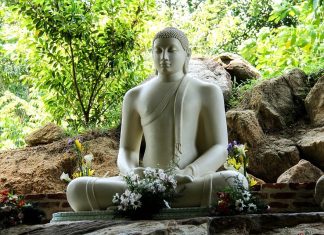 В Шри-Ланке придумали уникальные условия для туристов