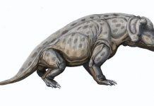 Антеозавры оказались проворными охотниками-убийцами