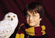 В шоу о Гарри Поттере больше не будут использовать сов