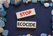 Экоцид могут признать международным преступлением против мира