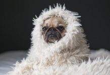 На Украину надвигается холодный атмосферный фронт, – метеорологи