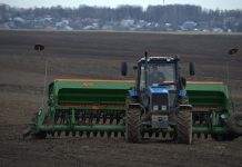 В Украине начинается посевная кампания, какие прогнозы экспертов