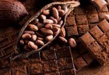 Из-за климата мир может остаться без какао и шоколада