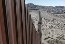 Трамп призвал Байдена продолжить возведение «мексиканской» стены