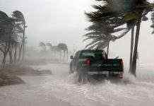 Сезон ураганов – 2020: сотни погибших, ущерб в миллиарды долларов