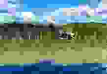 Из Красной книги Украины вычеркнули растение-убийцу