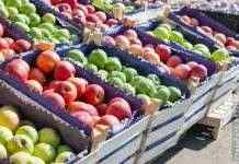 В Украине цены на яблоки могут вырасти в три раза, – эксперты