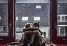 Резкое похолодание, снег и дождь: Украину накроет циклон