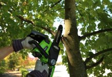 Связаны одной цепью: эксперты Greenworks рассказали, как выбрать цепную пилу