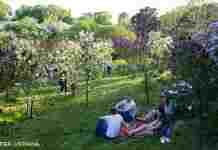 Україну накрили дощі з грозами: коли покращиться погода