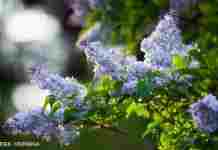 Дощі відійшли і потеплішало: прогноз погоди на сьогодні