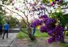 Сонячно та тепло до +17: прогноз погоди на сьогодні