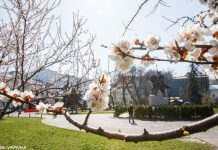 Дощі та грози почнуть відступати, але прийде похолодання: прогноз погоди на сьогодні