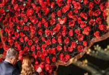 У Порошенка закликали вшанувати пам’ять жертв Другої світової війни 8 травня