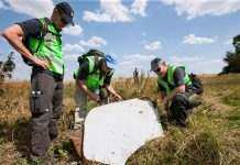 Нідерланди подають позов до ЄСПЛ проти Росії за збитий рейс MH17 над Донбасом