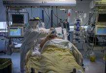 В Аргентині вирішили перенести вибори через спалах коронавірусу