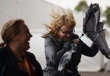 Штормове попередження та заморозки: у Києві погіршиться погода