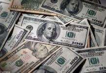Курс долара трохи виріс після різкого падіння