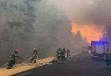 Рятувальники попереджають про високий рівень пожежної небезпеки у 14 областях України