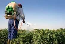 Швейцарія може заборонити використання пестицидів