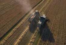 Держстат назвав найбільш рентабельні галузі економіки України за 2020 рік