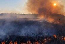 Українців попередили про надзвичайний рівень пожежної небезпеки на вихідних