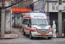 У Китаї зафіксували перший у світі випадок зараження новим штамом пташиного грипу