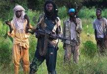 Бойовики в Нігерії зажадали викуп за викрадених школярів