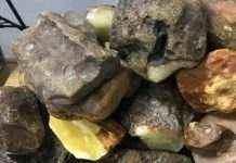 Українець намагався відправити в посилках 12 кг бурштину в Катар і ОАЕ