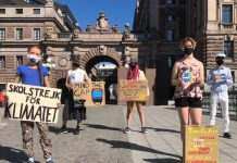 Вперше з початку пандемії. Грета Тунберг відновила кліматичні страйки