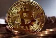 У ПАР зникли два брати з вкраденими біткоінами на суму 3,6 млрд доларів