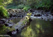 Жовтий рівень небезпеки. На Заході України через дощі можливі підтоплення