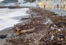 Збиток катастрофічний: окупанти оцінили наслідки повені в Ялті