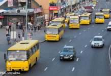 У Києві виявили двох п’яних водіїв маршруток за кермом, їх відсторонили